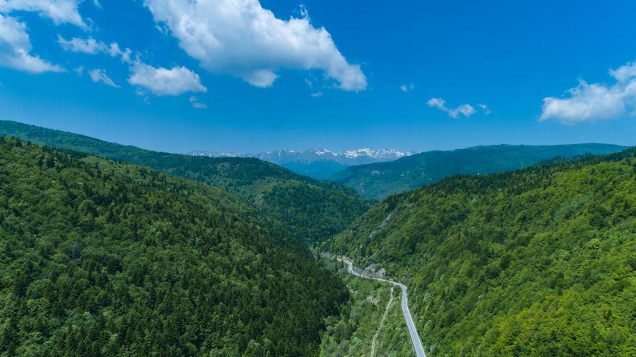Hotel Bistra, Resort Mavrovo Exteriör bild